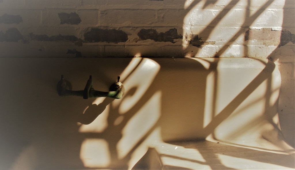 This image has an empty alt attribute; its file name is img_7347-2.jpg